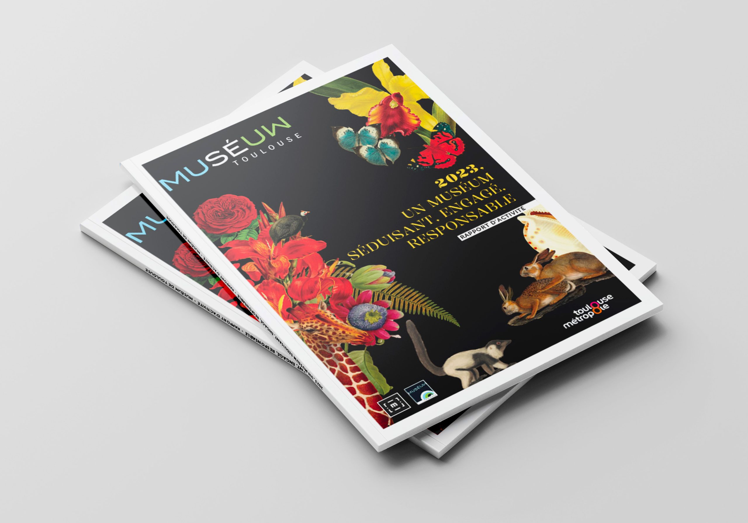 rapport-activite-museum